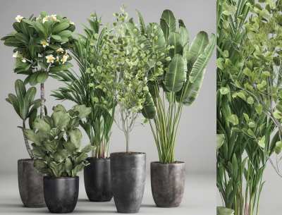 现代绿植盆栽组合3D模型下载